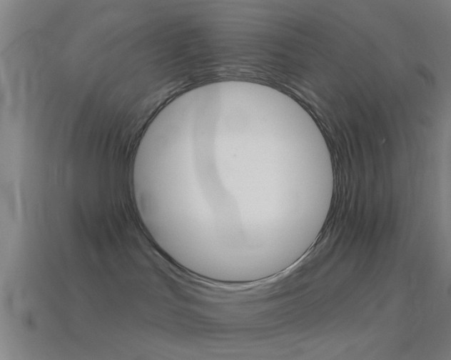 X0000114510047200910190938