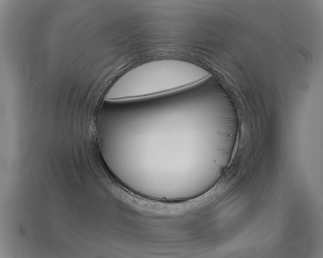 X0000114510048200910190938