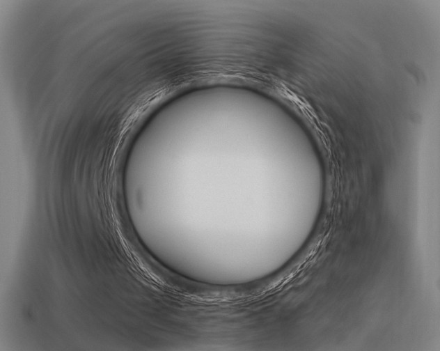 X0000114510049200910190937