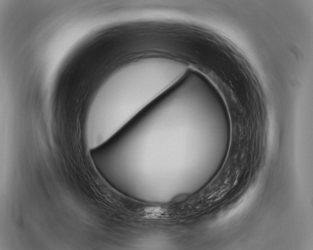 X0000114510050200910190937