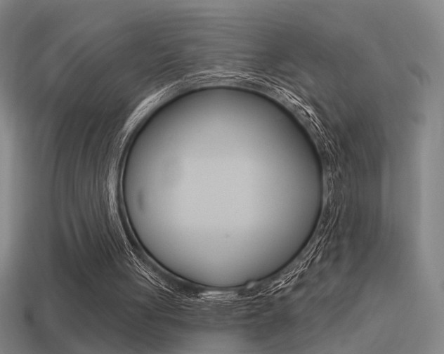 X0000114510051200910190937