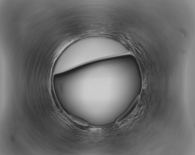 X0000114510052200910190937