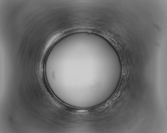 X0000114510053200910190937