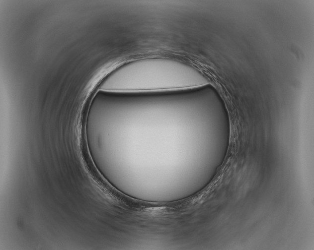X0000114510054200910190937