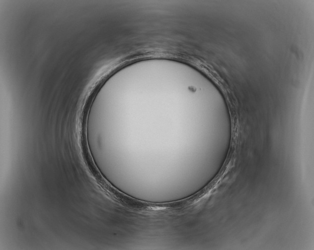 X0000114510055200910190937