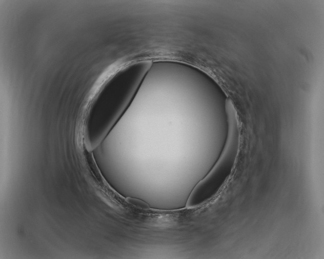 X0000114510056200910190937