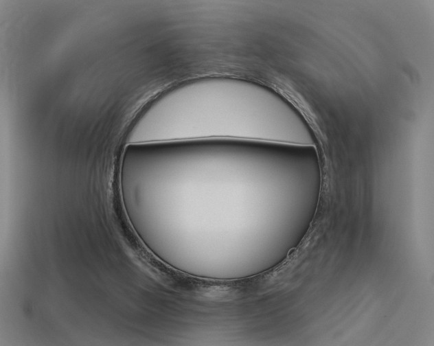 X0000114510058200910190937