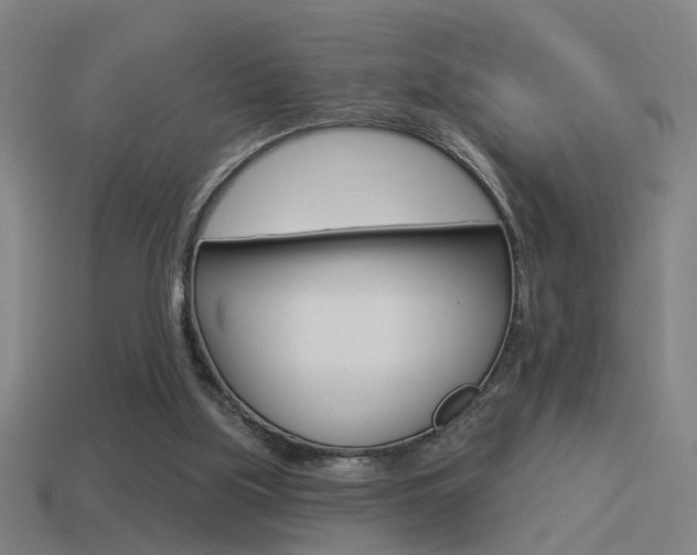 X0000114510059200910190937