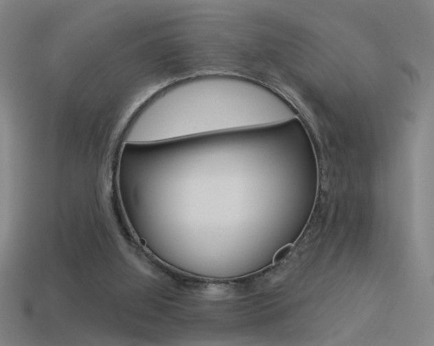 X0000114510060200910190937