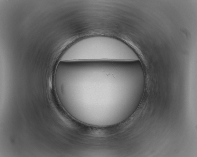 X0000114510062200910190937