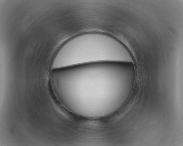 X0000114510063200910190937