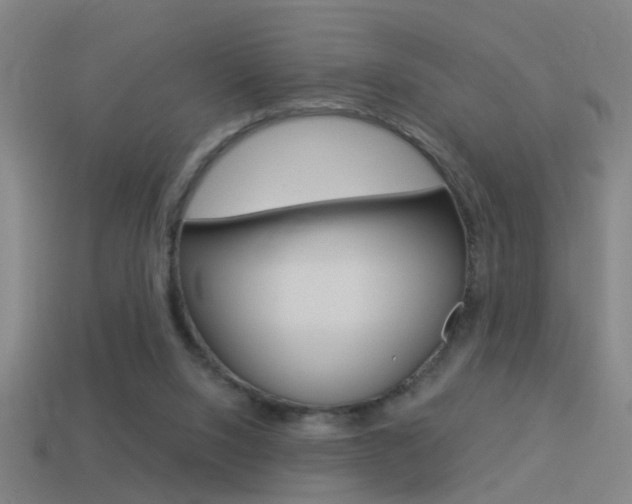 X0000114510064200910190937