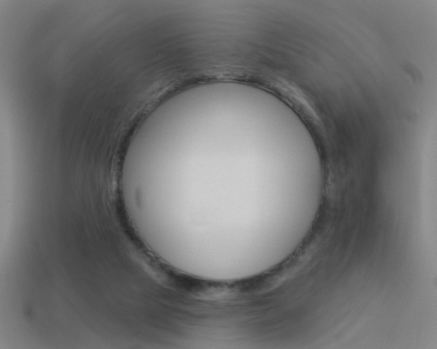 X0000114510065200910190937