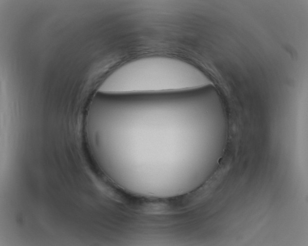 X0000114510066200910190937