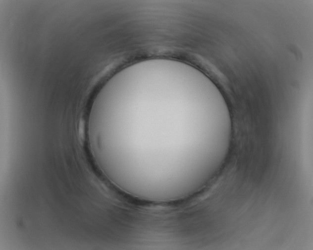 X0000114510067200910190937
