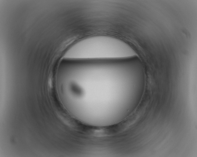 X0000114510068200910190937