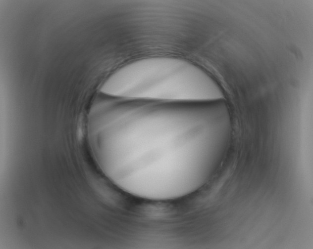 X0000114510069200910190937