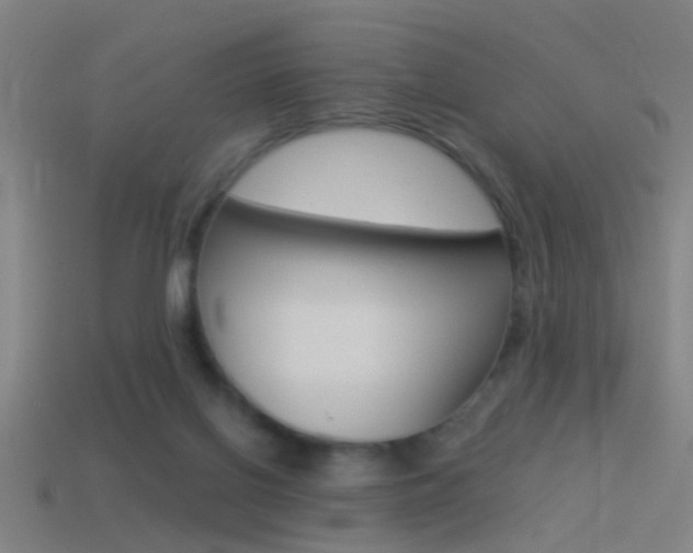 X0000114510070200910190937