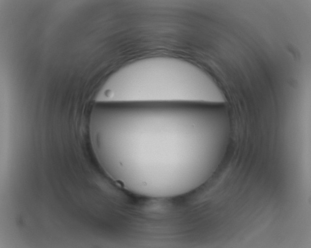X0000114510077200910190937