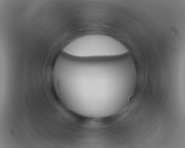 X0000114510078200910190937
