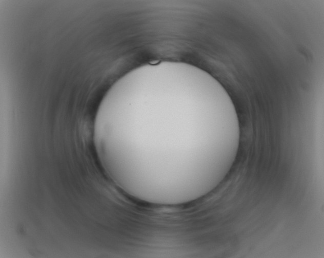X0000114510081200910190937