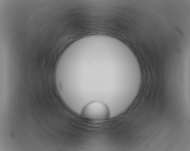 X0000114510084200910190937
