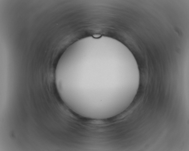 X0000114510085200910190937