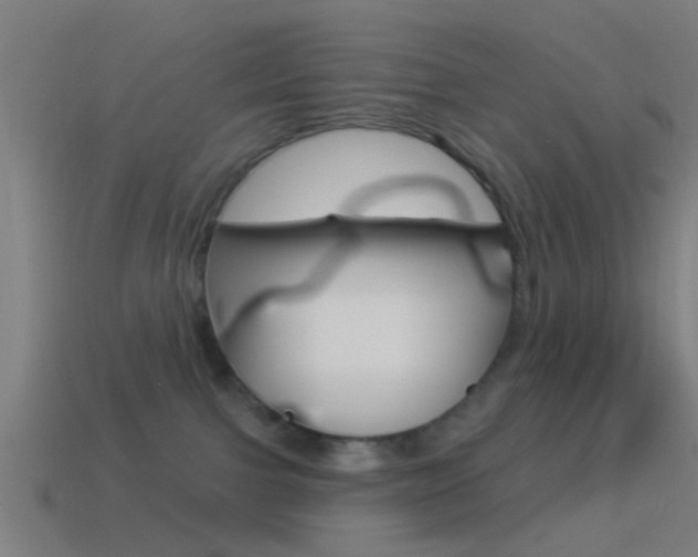 X0000114510091200910190937