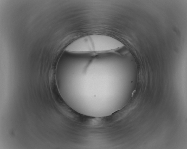 X0000114510092200910190937