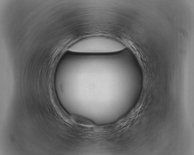 X0000114510097200910190937