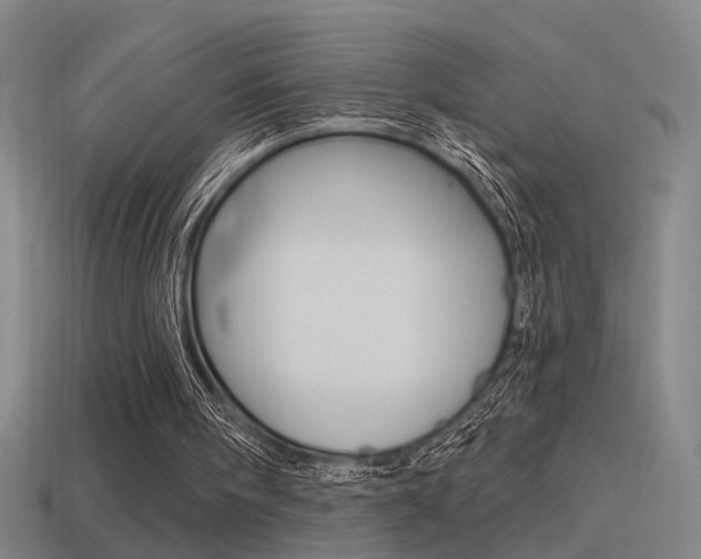 X0000114510098200910190937