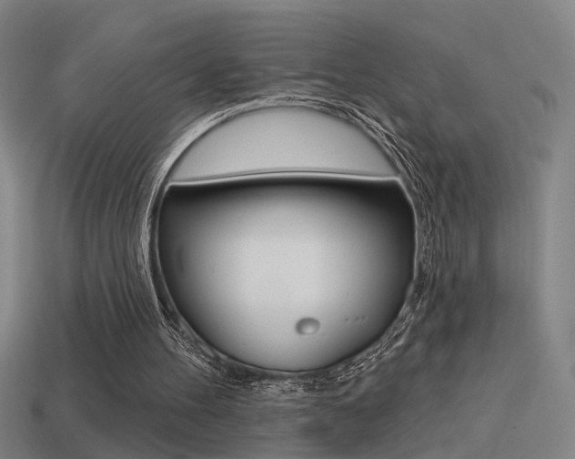 X0000114510100200910190937