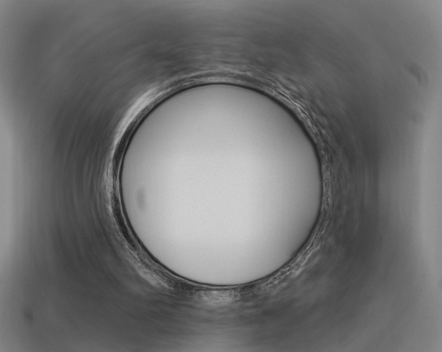 X0000114510102200910190937