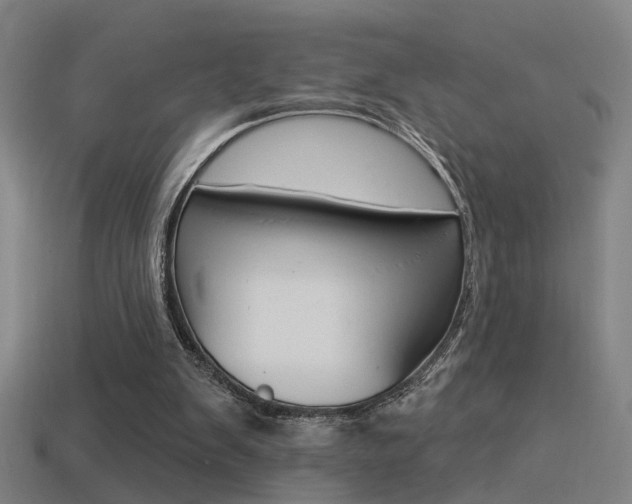 X0000114510103200910190937