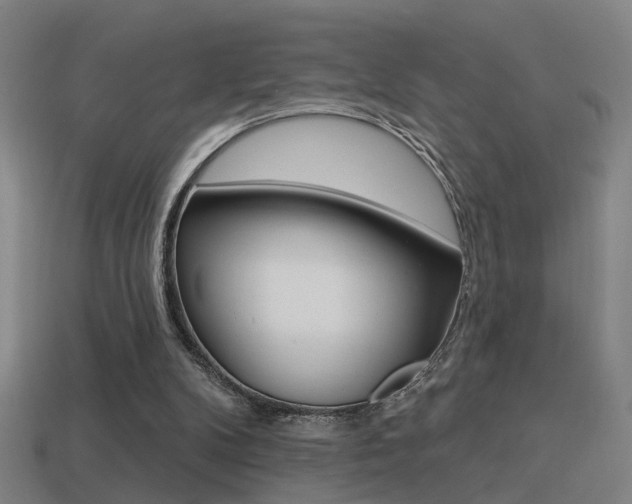 X0000114510104200910190937