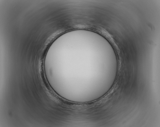 X0000114510106200910190937