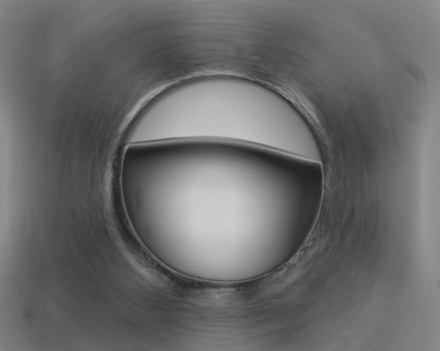 X0000114510108200910190937