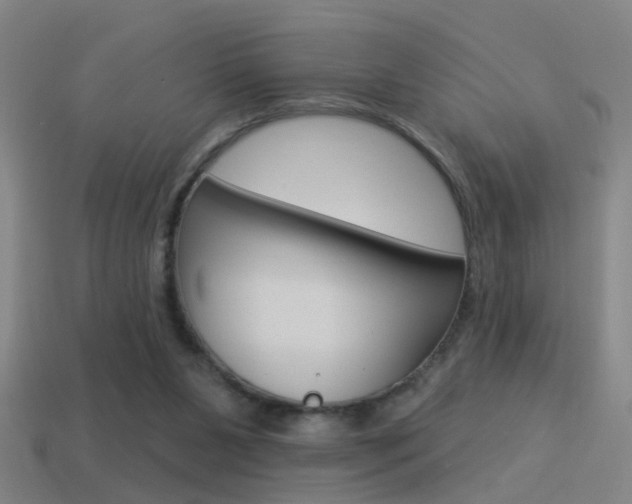 X0000114510111200910190937
