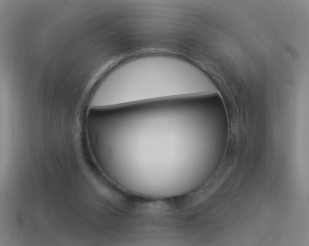 X0000114510112200910190937