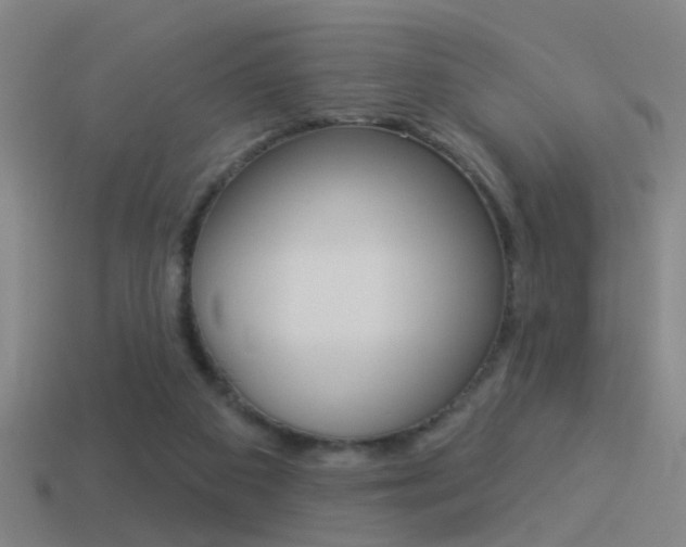 X0000114510113200910190937