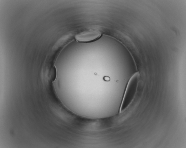 X0000114510116200910190937