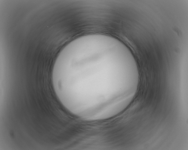 X0000114510117200910190937