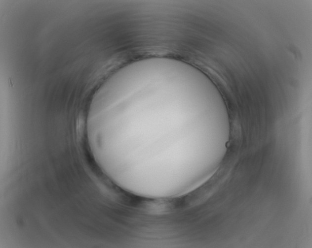 X0000114510118200910190937