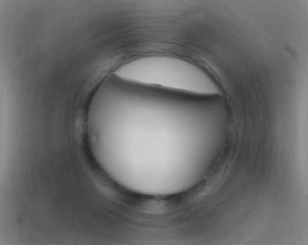 X0000114510119200910190937