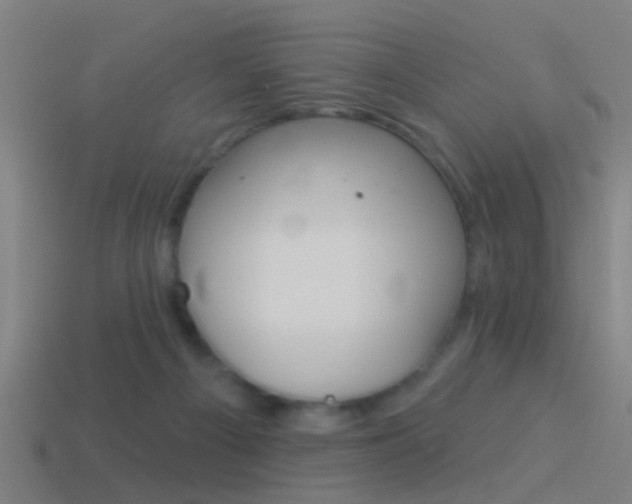 X0000114510121200910190937