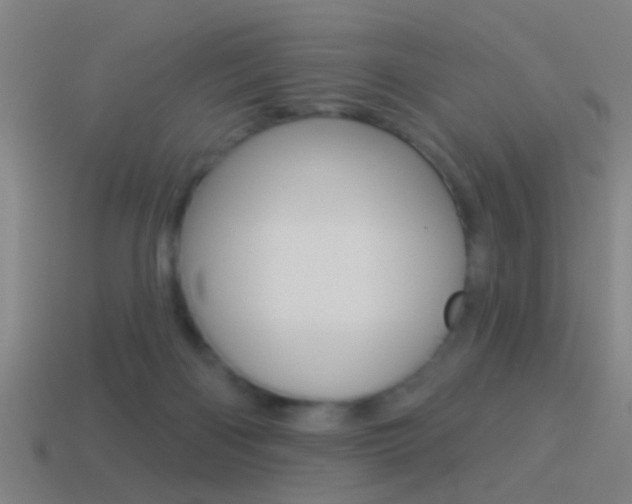 X0000114510122200910190937