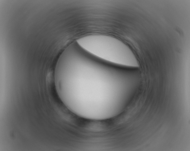 X0000114510123200910190937