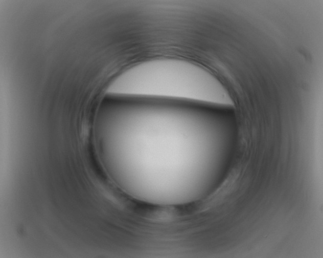 X0000114510124200910190937