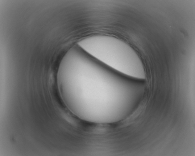 X0000114510128200910190937