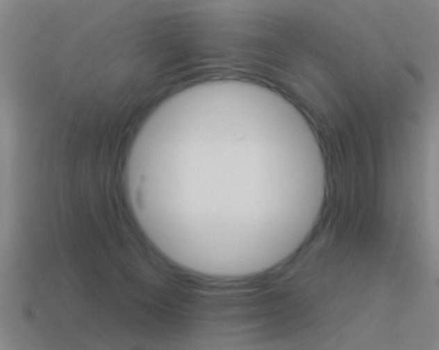 X0000114510129200910190937